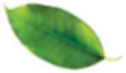 rev_home3_2.png